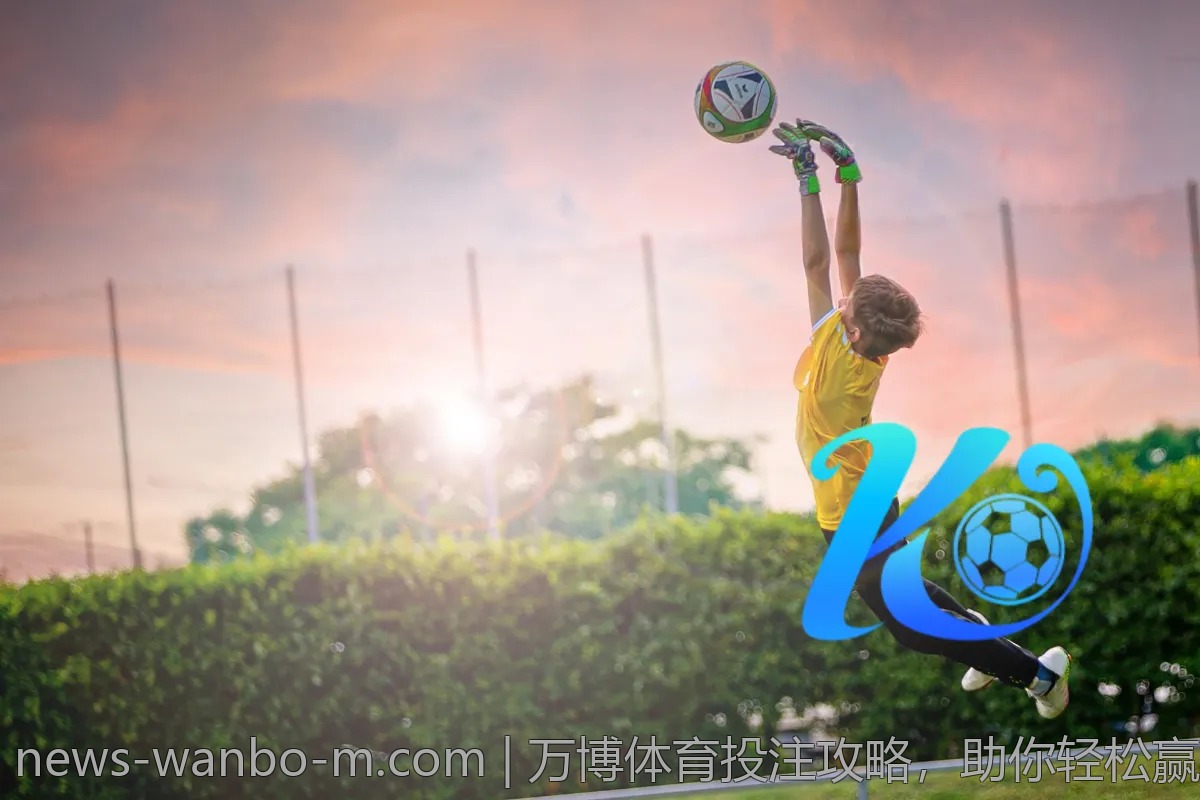 万博体育投注攻略,助你轻松赢取大奖